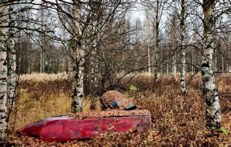  Yinshijie-Kylän Muinainen Henki ja Maaginen Luonto!