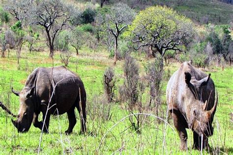  Yankari Game Reserve: Yksityinen eläintarha Pohjois-Nigeriassa!