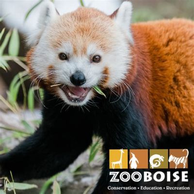 Zoo Boise: Seikkailu eläinten maailmaan ja kasvitieteelliseen keidas!